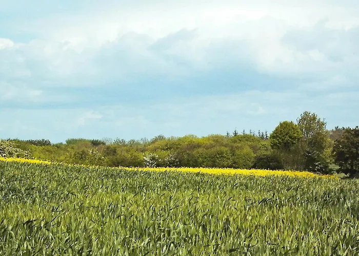 Vakantiehuis 20 Person In Nordborg-by Traum